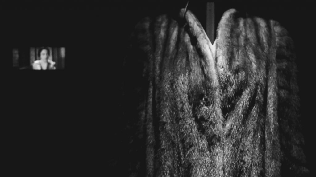 mostra_eventi_fendi_lady_fur_